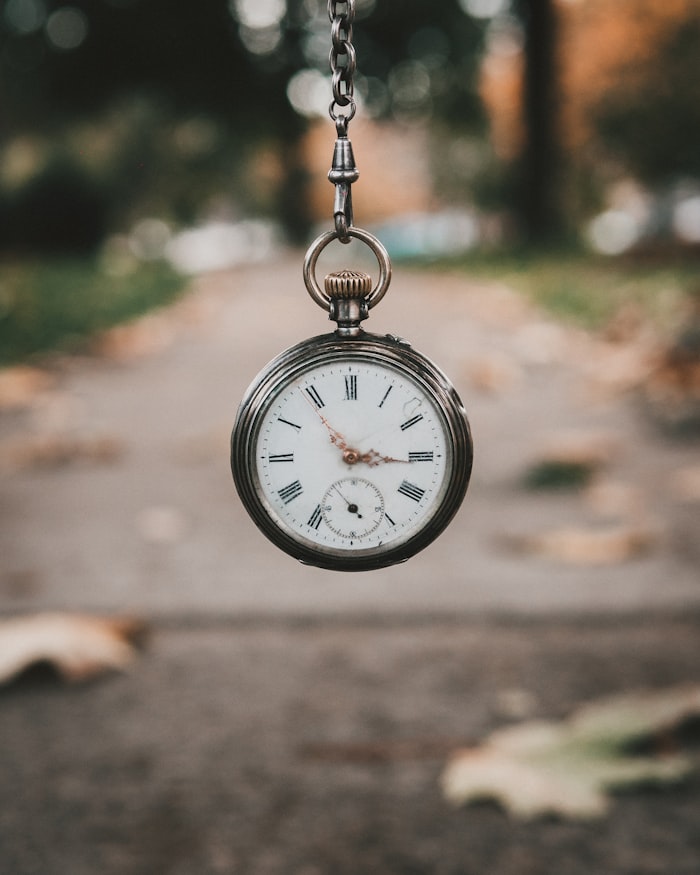 Punctual, on-time chauffeur service